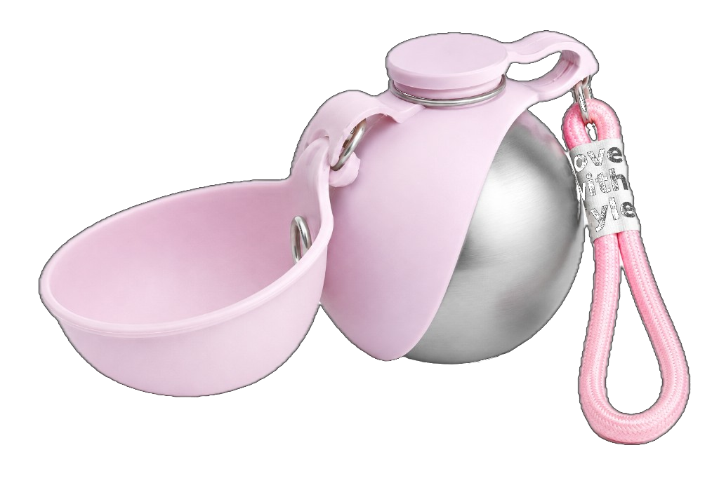 Portable dog water bottle with built-in bowl